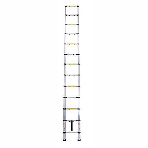 Telescopic ladder hot sale bcf