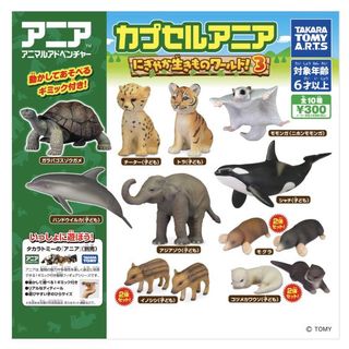 （分類：）位於 。 由 chocowai 提交（商品編號 1144477448，圖片 1）。簡介： 。
