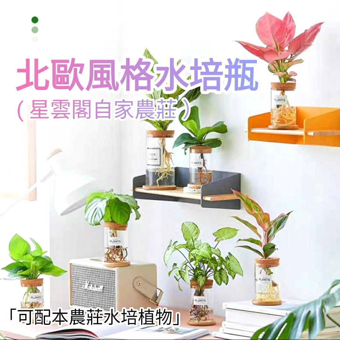 北歐風格玻璃水培瓶花瓶花樽花盆水種植物水培植物plant Pot 星雲閣農莊 傢俬 家居 園藝 盆栽 Carousell