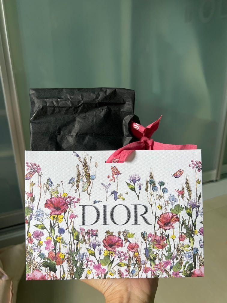 Dior Women Paper Bag Large with ribbon Luxury Bags  Wallets on  Carousell