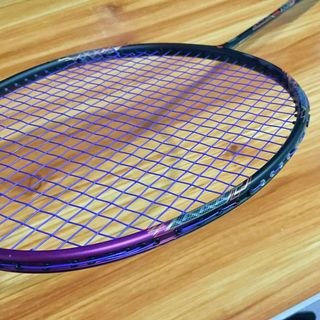 verwijzen Kast zonne Dunlop Evo Badminton, Sports Equipment, Sports & Games, Racket and Ball  Sports on Carousell