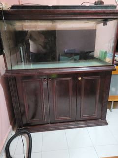 (Category: ) located in . Submitted by ask.man1962 (Listing ID 1144567067, Image 1). Description: .