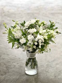 (Category: ) located in . Submitted by jansfloristry (Listing ID 1144530905, Image 1). Description: .