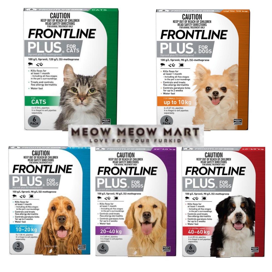 Frontline plus for dogs on top cats