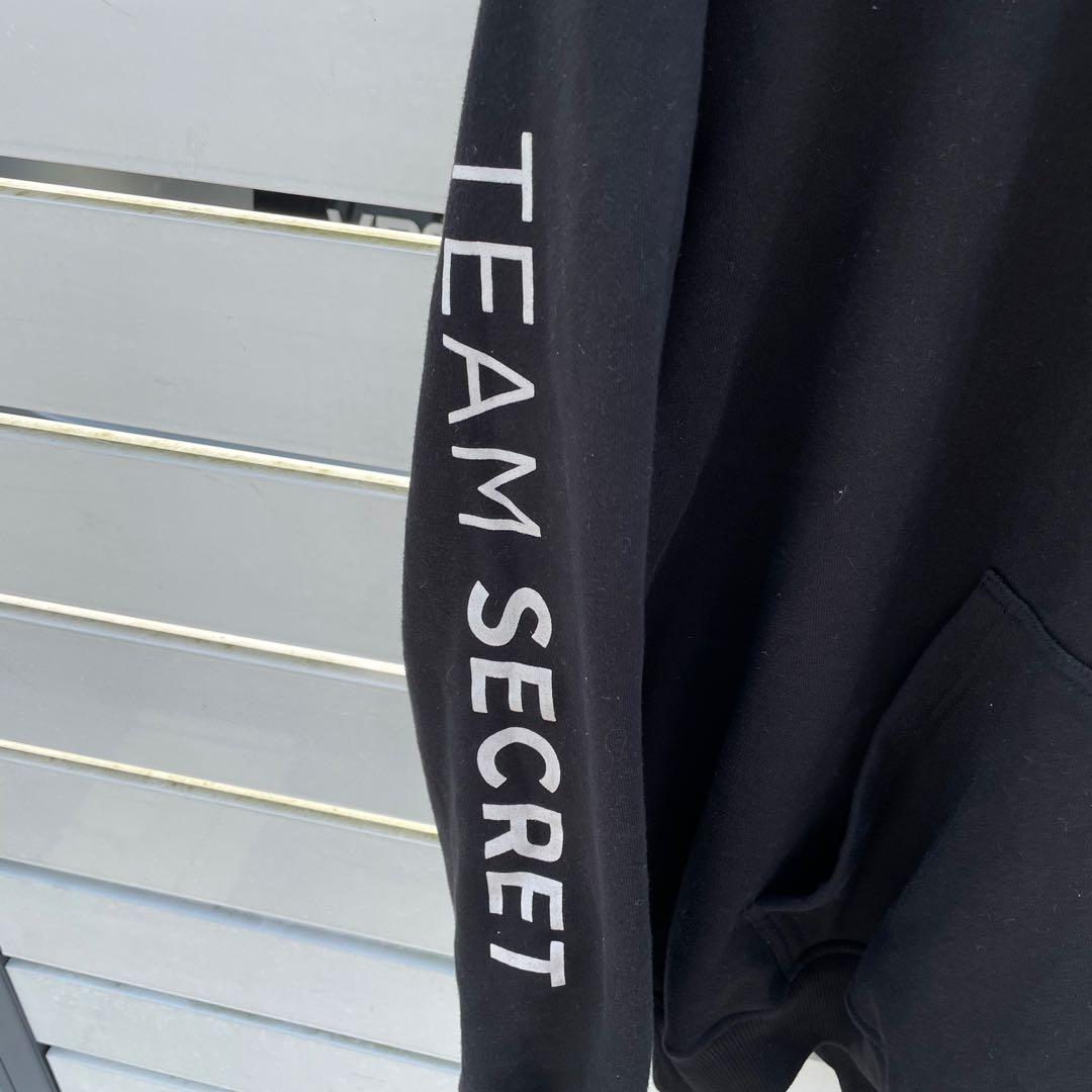 Team secret x champion hoodie new arrivals