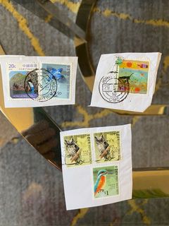 （分類：）位於 。 由 nicefans123 提交（商品編號 1144540433，圖片 1）。簡介： 。