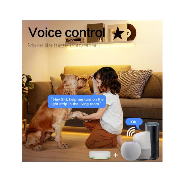 Home control turn on 2025 the living room lights