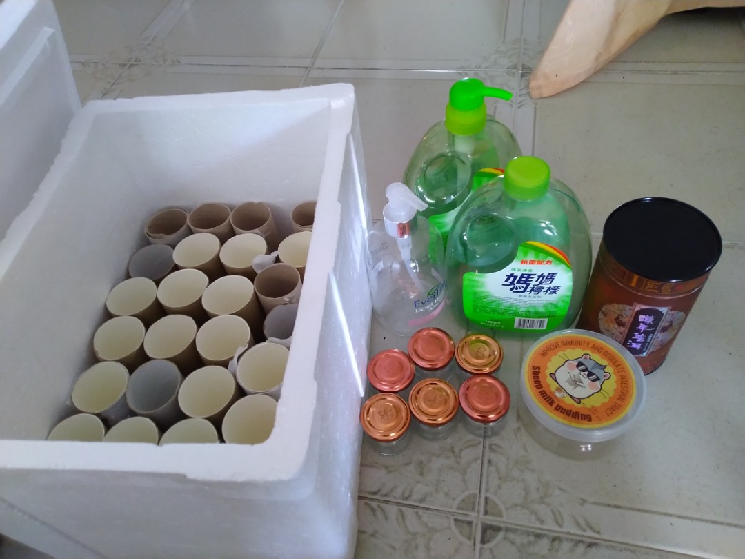 Toilet rolls, bottles, jars,, Everything Else on Carousell