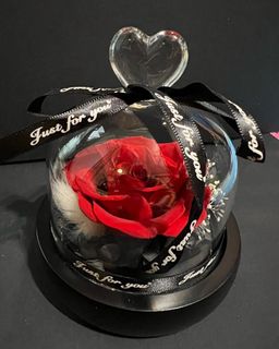 （分類：）位於 。 由 mui116 提交（商品編號 1141270730，圖片 1）。簡介： 。
