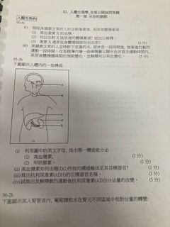 （分類：）位於 。 由 yanny792 提交（商品編號 1141303326，圖片 1）。簡介： 。