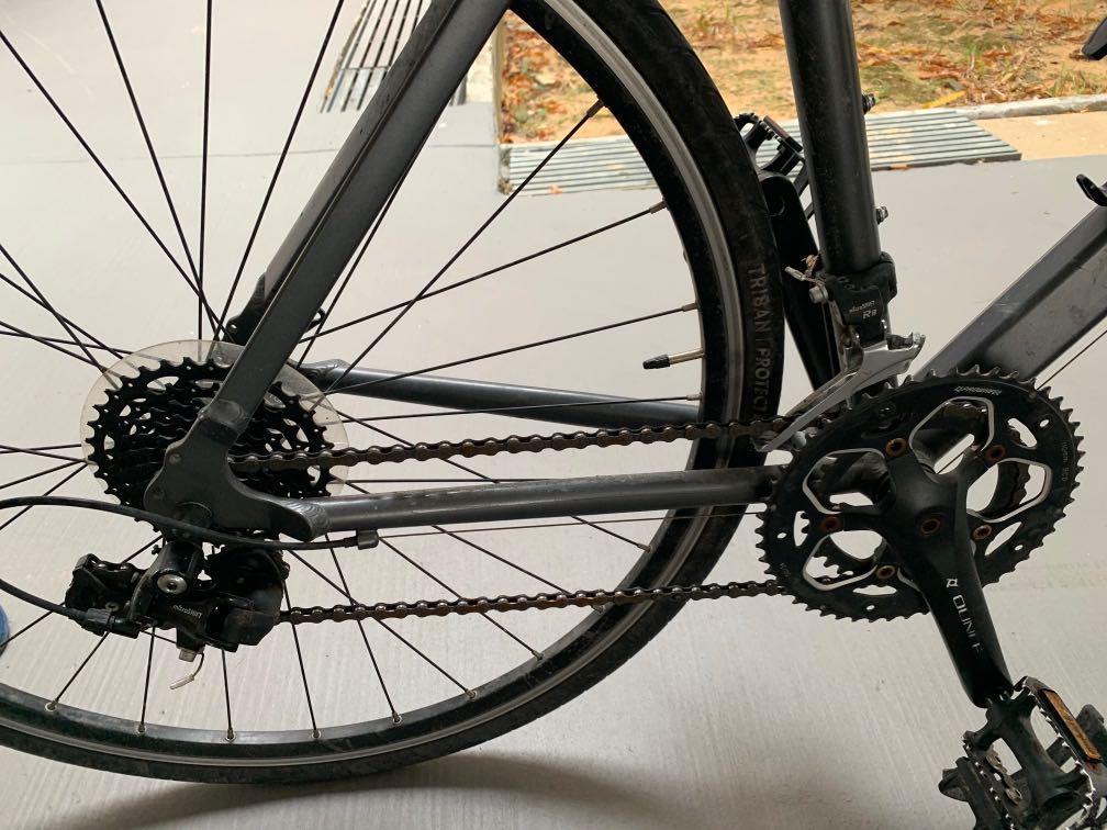 ale master bib shorts