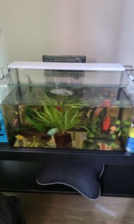 (Category: ) located in . Submitted by CrazymicZ69 (Listing ID 1141194859, Image 1). Description: .