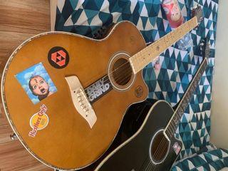 RJ Professional Acoustic Guitar