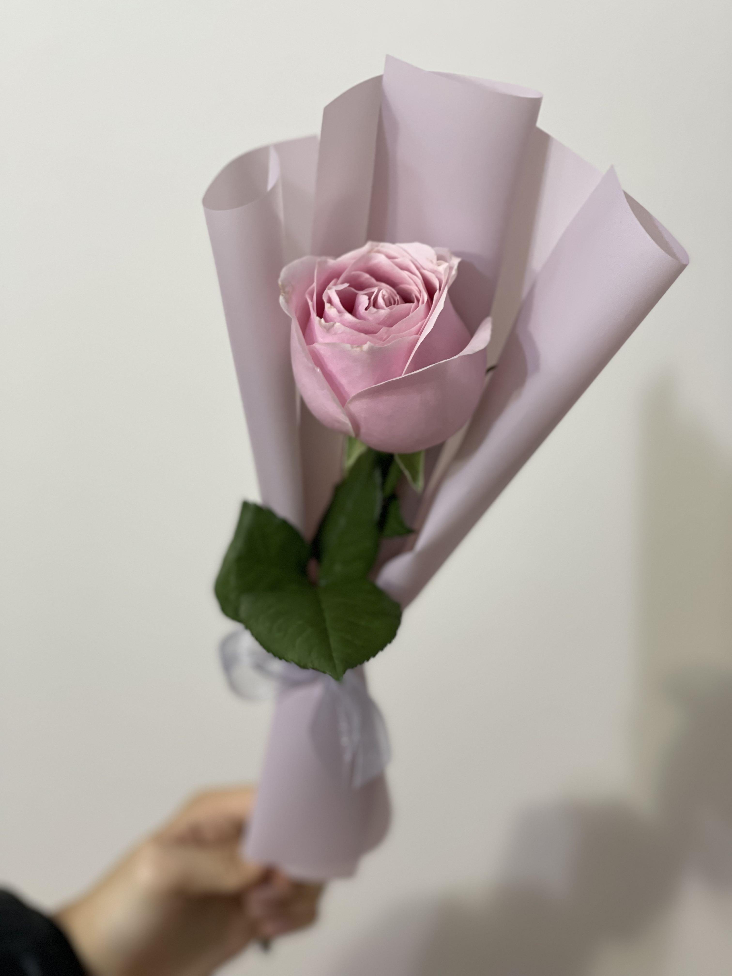 玫瑰花束單支玫瑰鮮花 興趣及遊戲 手作 自家設計 文具及工藝 花 Carousell 玫瑰花束單支玫瑰鮮花 興趣及遊戲 手作 自家設計 文具及工藝 花 Carousell