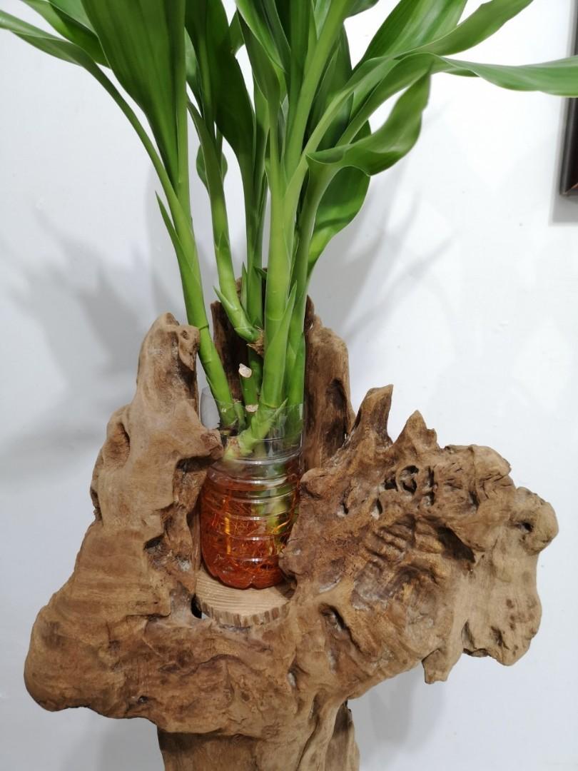 木製花台］花架花座展示架盆栽架多肉植物, 家具及居家用品, 居家