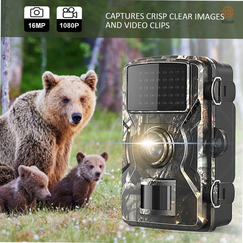 APEMAN Trail Camera H45, Photography, Cameras on Carousell