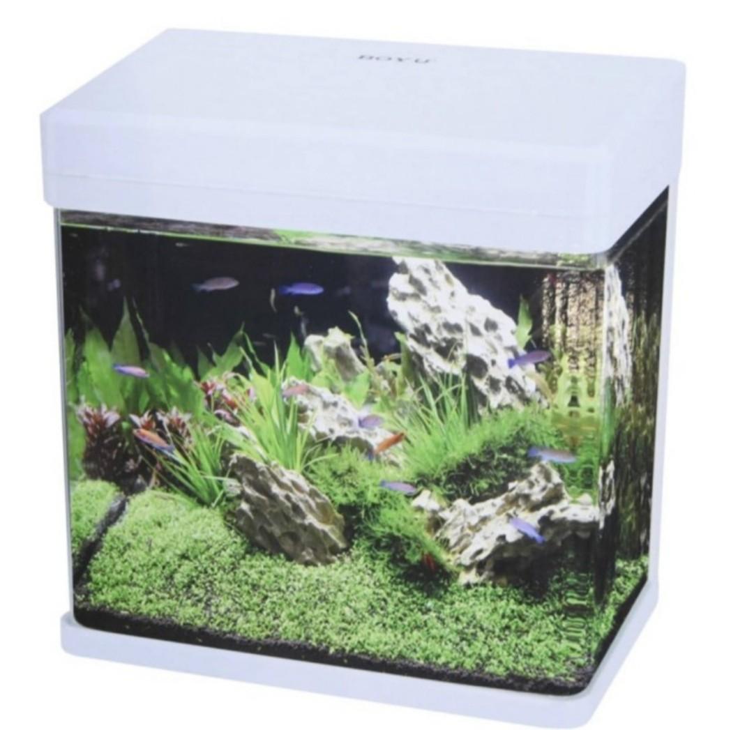 aquarium mini boyu