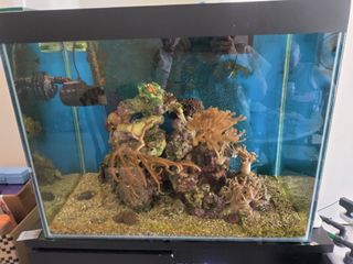 (Category: ) located in . Submitted by mako38 (Listing ID 1144721573, Image 1). Description: .