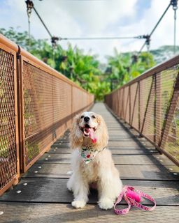 (Category: ) located in . Submitted by edenlover (Listing ID 1144819798, Image 1). Description: .