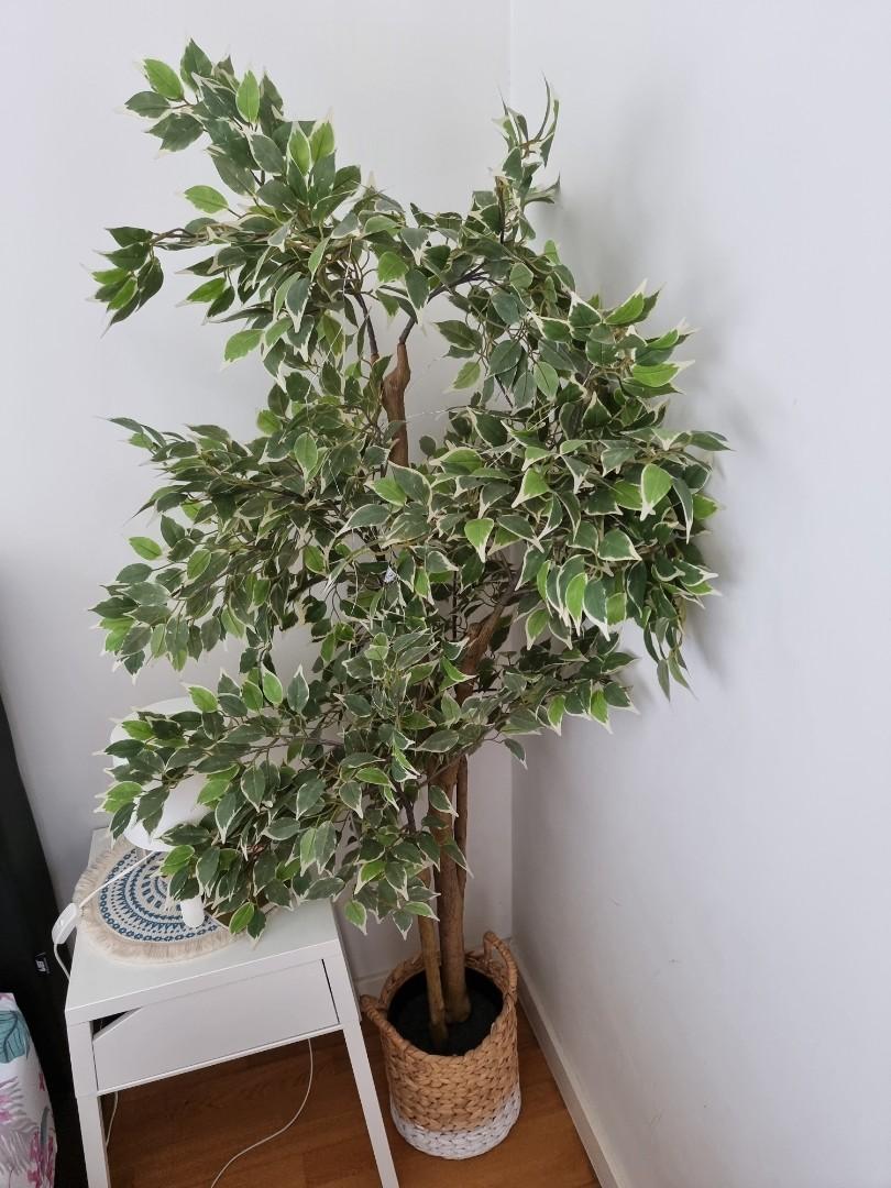 IKEA Artificial Tree, Furniture & Home Living, Home Decor, Artificial