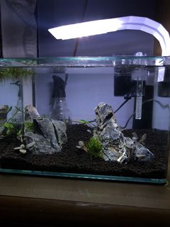 (Category: ) located in . Submitted by iskandarscott (Listing ID 1144741535, Image 1). Description: .