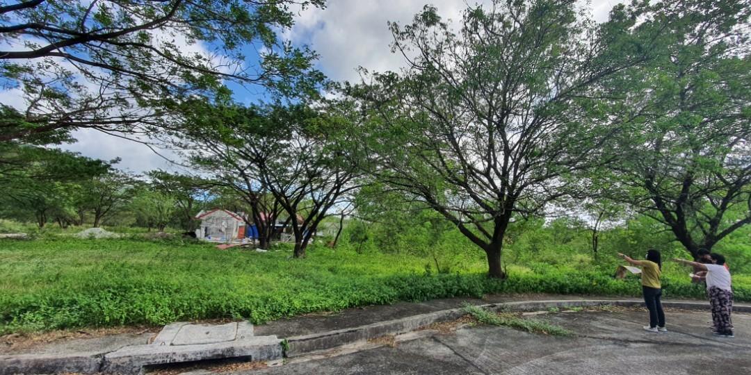 PALO ALTO RESIDENTIAL lots Baras Tanay, Property, For Sale, Lot on