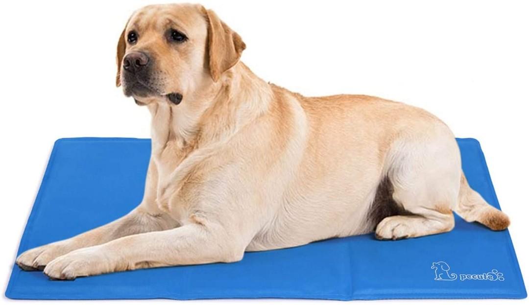 Extra large dog sales cooling pad