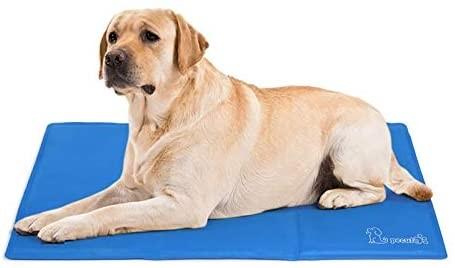 Pet valu cooling sales mat