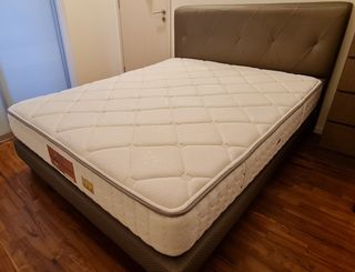 (Category: ) located in . Submitted by saraxu83 (Listing ID 1144753517, Image 1). Description: .