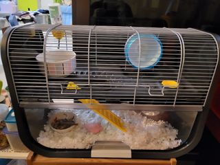 (Category: ) located in . Submitted by livelovelaugh83 (Listing ID 1144813280, Image 1). Description: .