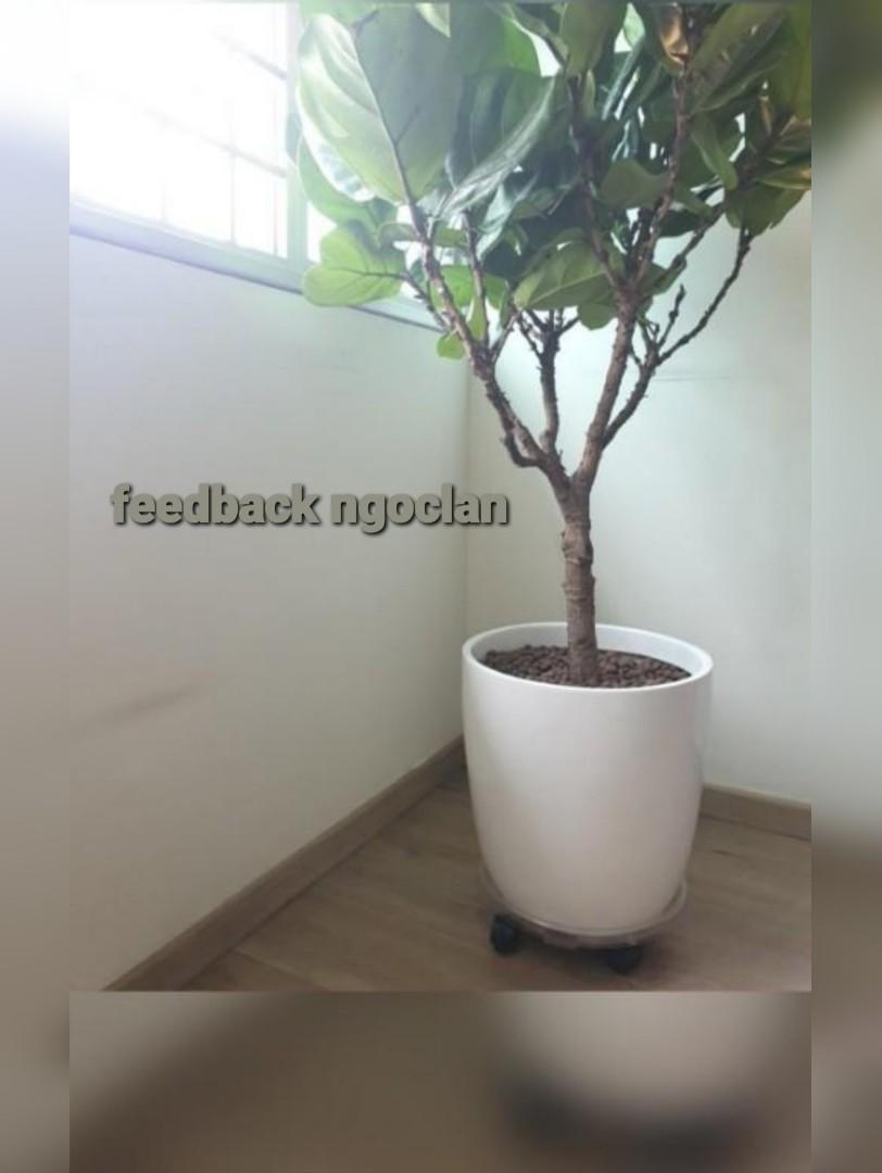 Yardwe Plant Pot Holder Stand Indoor Outdoor Metal Flowerpot Stand Black