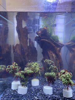 (Category: ) located in . Submitted by jakecjk (Listing ID 1144998935, Image 1). Description: .