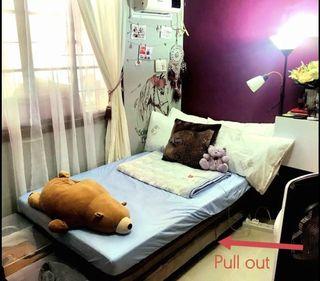 Mandaue pull out bed with free bed foam (twin size)
