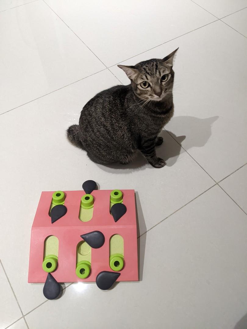 Nina Ottosson by Petstages Melon Madness Puzzle & Play Cat Game, Pink