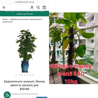 (Category: ) located in . Submitted by mimiandmini (Listing ID 1144967128, Image 1). Description: .
