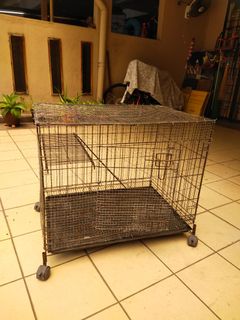 (Category: ) located in . Submitted by hklrfnm (Listing ID 1144913273, Image 1). Description: .