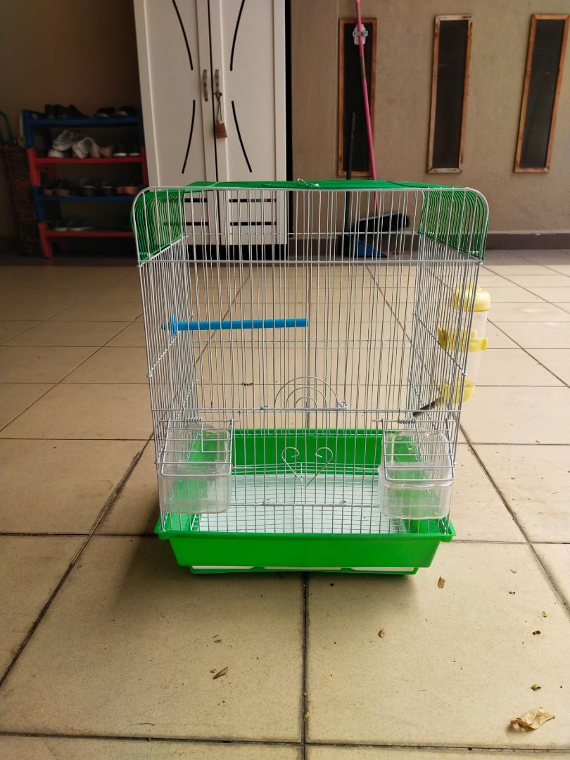 sangkar sugar glider