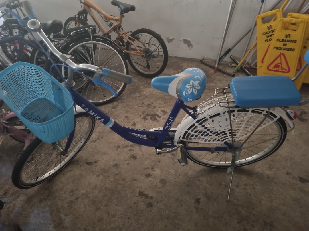 Used Ladies bike Sports Equipment Bicycles Parts Bicycles on Carousell