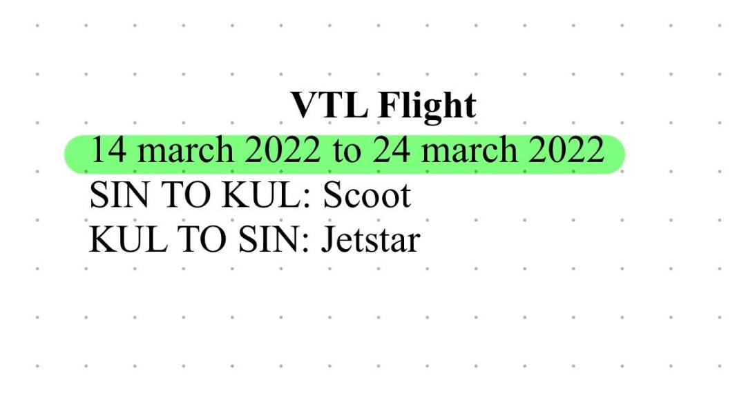 Vtl flight to malaysia