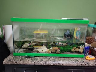 (Category: ) located in . Submitted by val3301 (Listing ID 1145135665, Image 1). Description: .