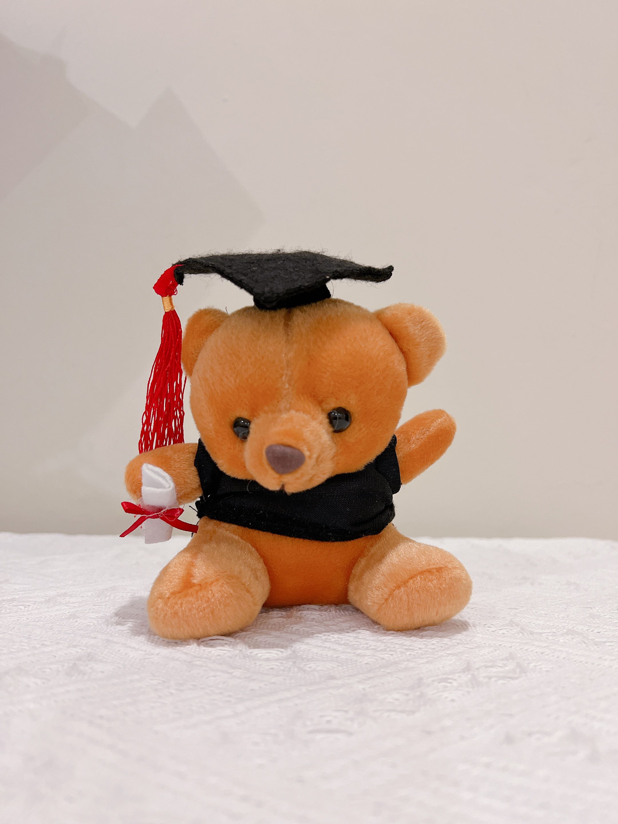 Graduation Bear, Hobbies & Toys, Toys & Games on Carousell