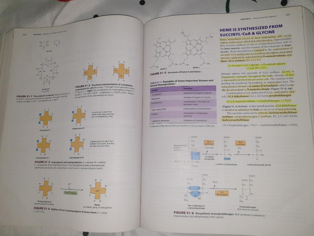 Harpe Rtexbook Harper's Illustrated Biochemistry 30th Edition (ORIGINAL TEXTBOOK ...