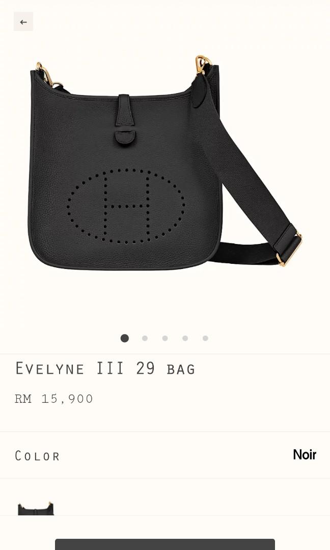 Hermès clearance evelyne 29