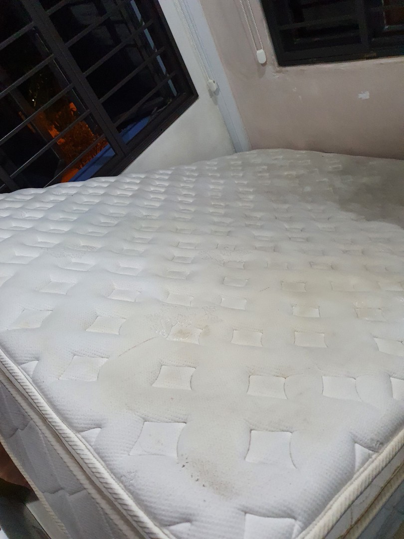 King Koil Spinal Saver Opulence Queen Size Turn Free Mattress