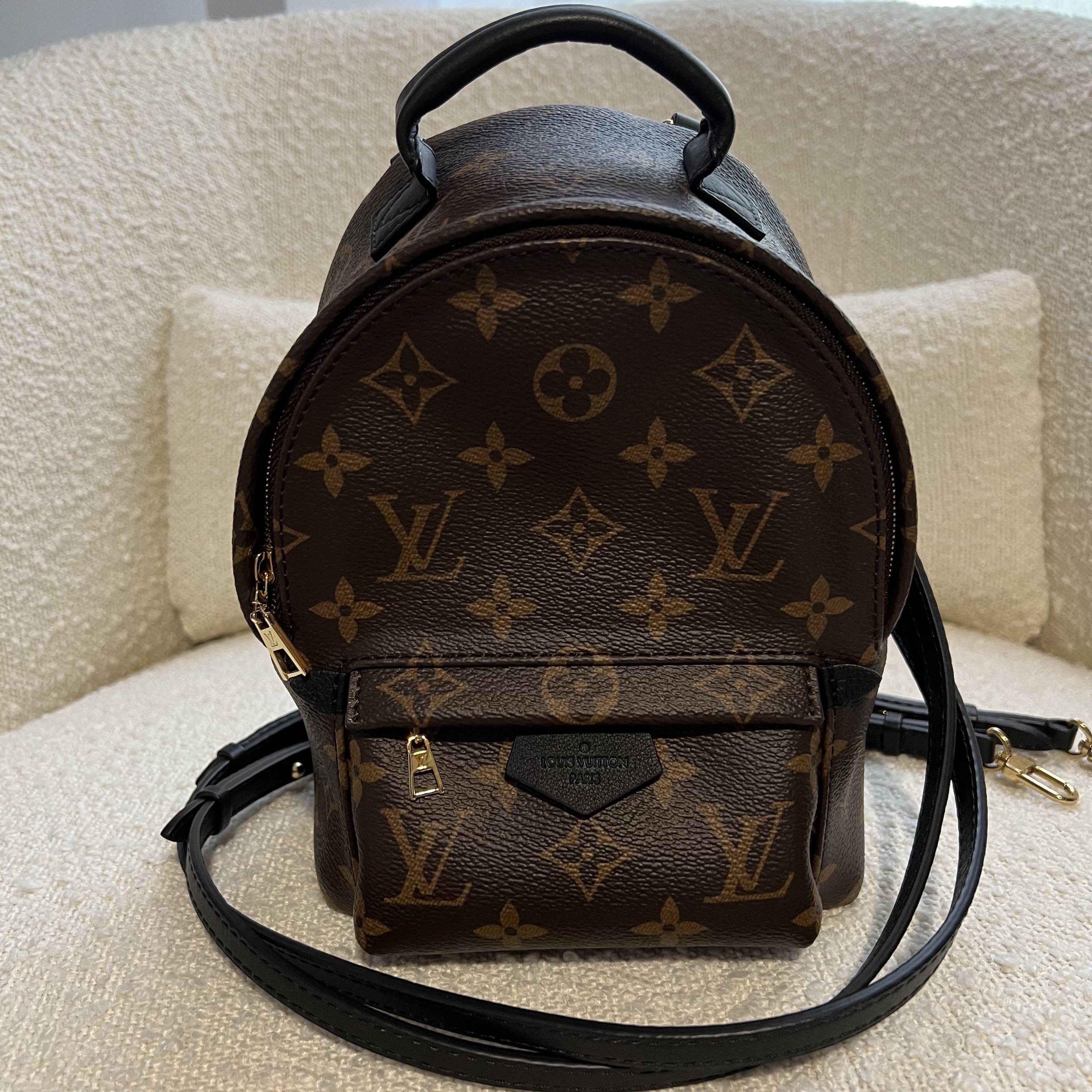 Louis Vuitton Palm Springs Mini Monogram Backpack, Luxury, Bags & Wallets  on Carousell