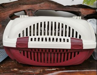 (Category: ) located in . Submitted by noble.doglovers (Listing ID 1145090432, Image 1). Description: .