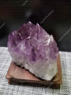 PQR079 高質(紫鈦晶大牙)紫水晶簇 (10*7*10cm)(655g)64243745383810110