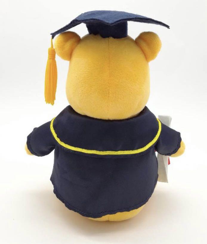Winnie The Pooh Graduation Bear Soft Toy, Hobbies & Toys, Toys & Games