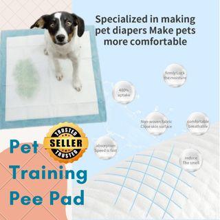 ✅ B100P Pet Training Pee Pad