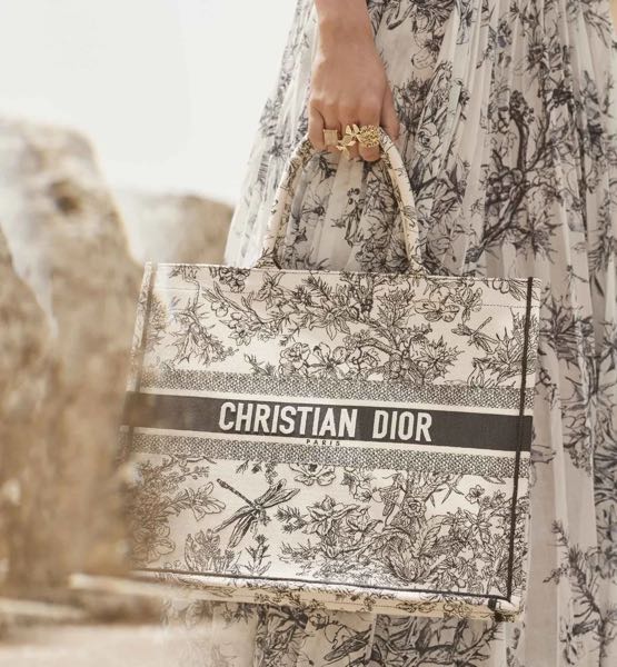 Tote, cruise tote bag 2022 Christian Dior Multiple colors Cloth ref.538320  - Joli Closet